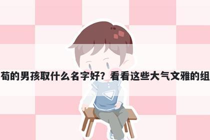 姓荀的男孩取什么名字好？看看这些大气文雅的组合