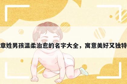 章姓男孩温柔治愈的名字大全，寓意美好又独特