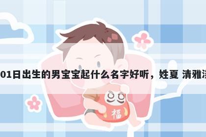 2025年-12月-01日出生的男宝宝起什么名字好听，姓夏 清雅淡泊的名字推荐