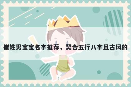 崔姓男宝宝名字推荐，契合五行八字且古风的
