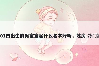 2025年-12月-01日出生的男宝宝起什么名字好听,姓房 冷门独特的名字推荐