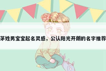 茅姓男宝宝起名灵感,公认阳光开朗的名字推荐