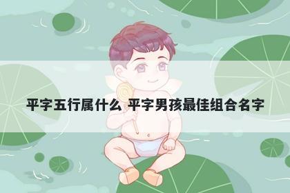 平字五行属什么 平字男孩最佳组合名字
