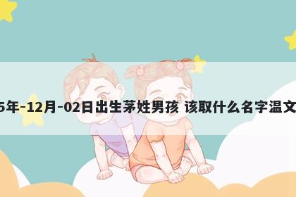 2025年-12月-02日出生茅姓男孩 该取什么名字温文尔雅