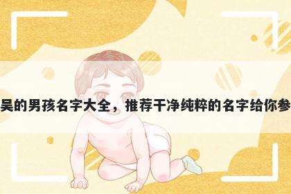 姓吴的男孩名字大全,推荐干净纯粹的名字给你参考