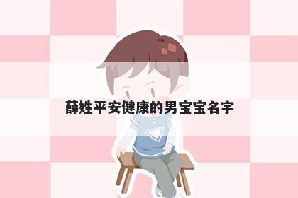 薛姓平安健康的男宝宝名字