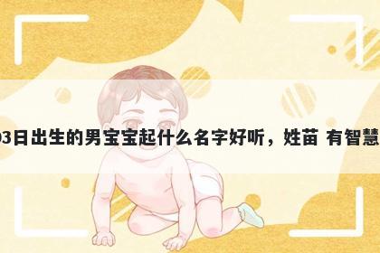 2025年-12月-03日出生的男宝宝起什么名字好听,姓苗 有智慧才气的名字推荐