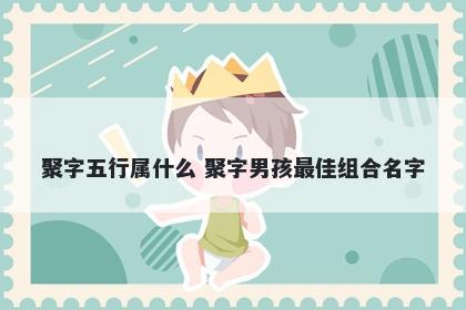 聚字五行属什么 聚字男孩最佳组合名字