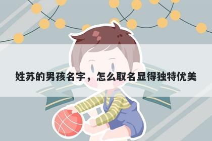 姓苏的男孩名字,怎么取名显得独特优美