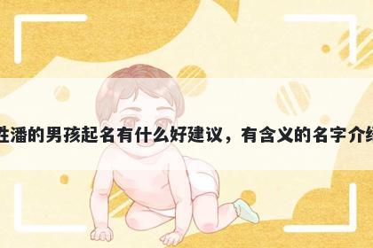 姓潘的男孩起名有什么好建议，有含义的名字介绍