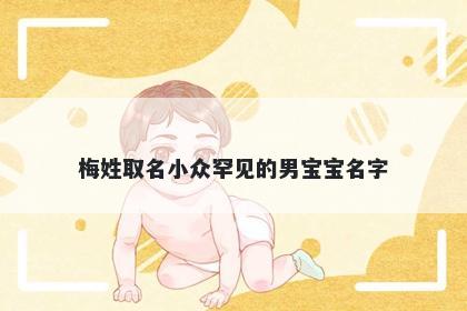梅姓取名小众罕见的男宝宝名字
