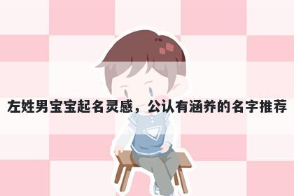 左姓男宝宝起名灵感，公认有涵养的名字推荐