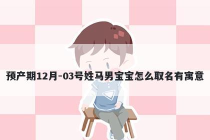 预产期12月-03号姓马男宝宝怎么取名有寓意