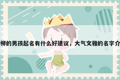 姓柳的男孩起名有什么好建议，大气文雅的名字介绍