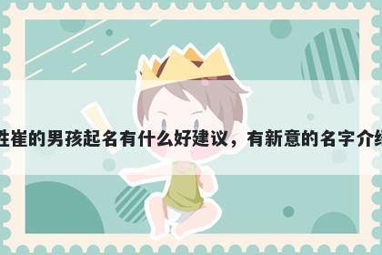 姓崔的男孩起名有什么好建议，有新意的名字介绍