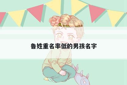 鲁姓重名率低的男孩名字