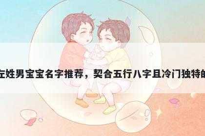 左姓男宝宝名字推荐，契合五行八字且冷门独特的