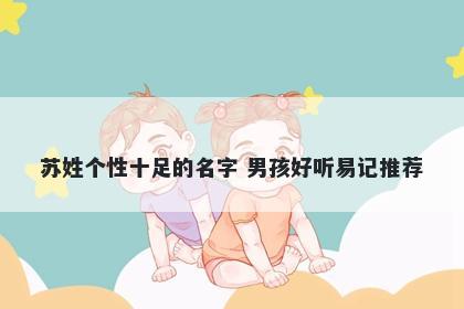 苏姓个性十足的名字 男孩好听易记推荐