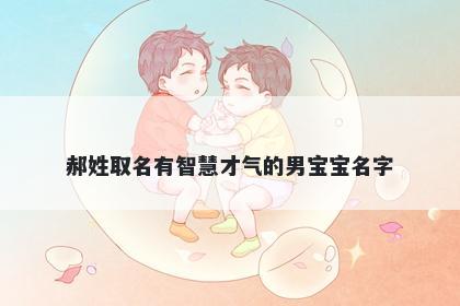 郝姓取名有智慧才气的男宝宝名字