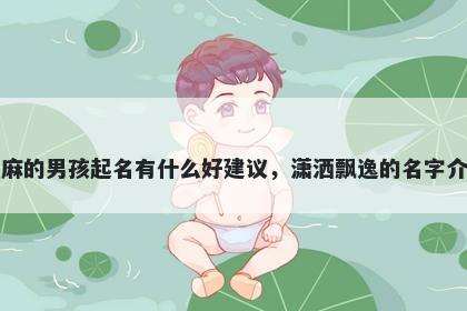姓麻的男孩起名有什么好建议,潇洒飘逸的名字介绍