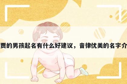 姓贾的男孩起名有什么好建议,音律优美的名字介绍