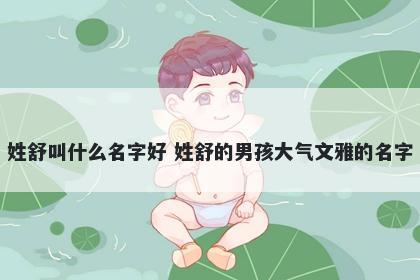 姓舒叫什么名字好 姓舒的男孩大气文雅的名字
