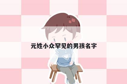 元姓小众罕见的男孩名字