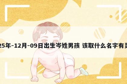 2025年-12月-09日出生岑姓男孩 该取什么名字有灵气