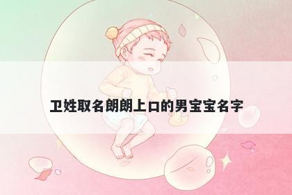 卫姓取名朗朗上口的男宝宝名字