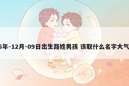 2025年-12月-09日出生路姓男孩 该取什么名字大气文雅