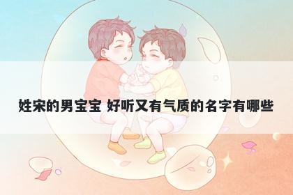 姓宋的男宝宝 好听又有气质的名字有哪些