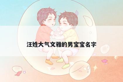 汪姓大气文雅的男宝宝名字