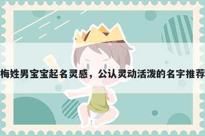 梅姓男宝宝起名灵感，公认灵动活泼的名字推荐