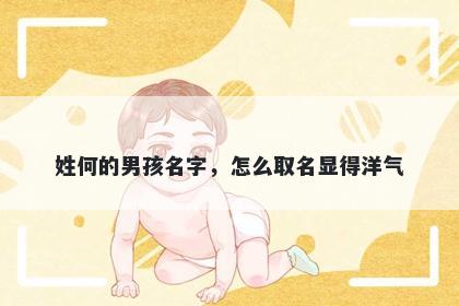 姓何的男孩名字,怎么取名显得洋气