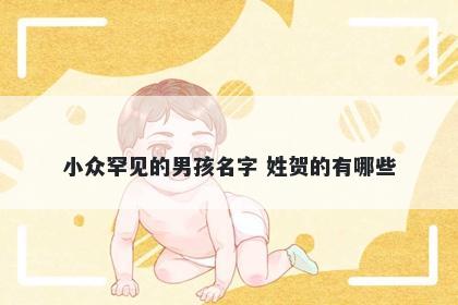 小众罕见的男孩名字 姓贺的有哪些