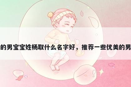 刚出生的男宝宝姓杨取什么名字好,推荐一些优美的男孩名字