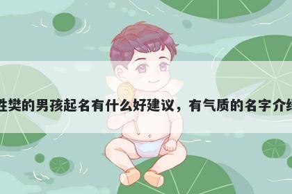 姓樊的男孩起名有什么好建议,有气质的名字介绍