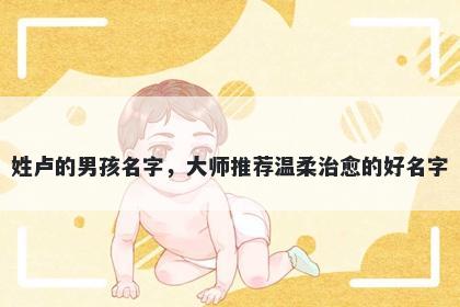 姓卢的男孩名字,大师推荐温柔治愈的好名字