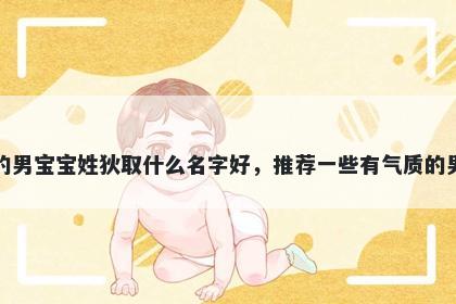 刚出生的男宝宝姓狄取什么名字好,推荐一些有气质的男孩名字