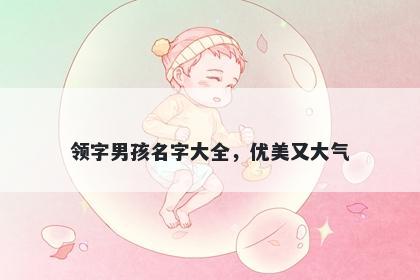 领字男孩名字大全，优美又大气