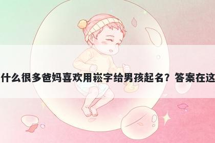 为什么很多爸妈喜欢用崧字给男孩起名？答案在这里