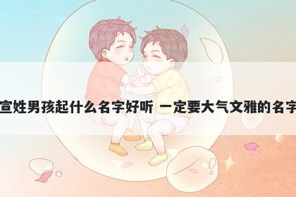 宣姓男孩起什么名字好听 一定要大气文雅的名字
