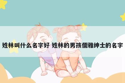 姓林叫什么名字好 姓林的男孩儒雅绅士的名字