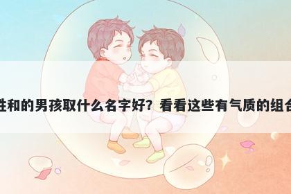 姓和的男孩取什么名字好？看看这些有气质的组合