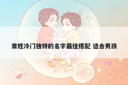 章姓冷门独特的名字最佳搭配 适合男孩