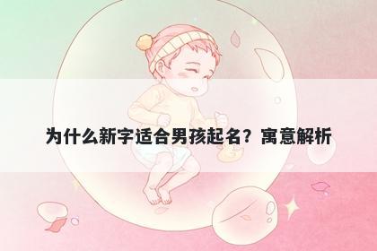 为什么新字适合男孩起名？寓意解析