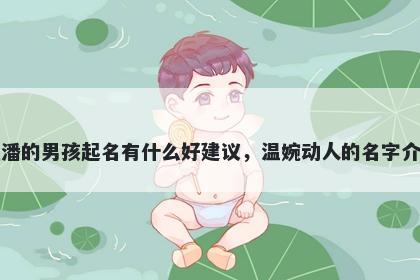 姓潘的男孩起名有什么好建议，温婉动人的名字介绍