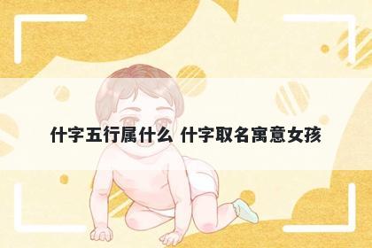 什字五行属什么 什字取名寓意女孩
