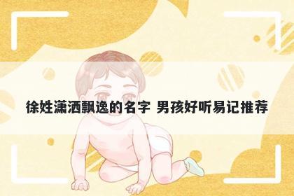 徐姓潇洒飘逸的名字 男孩好听易记推荐