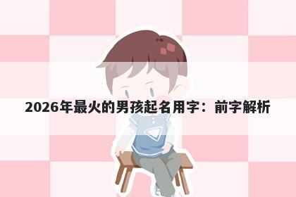2026年最火的男孩起名用字：前字解析